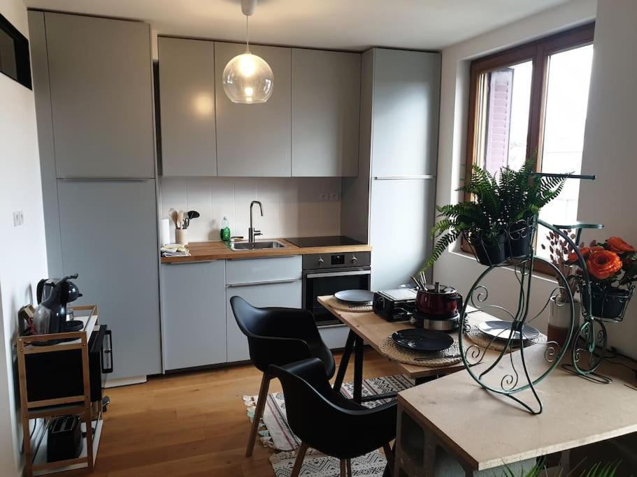 The Duplex Annecy Tgv; Vielle Ville Esterno foto