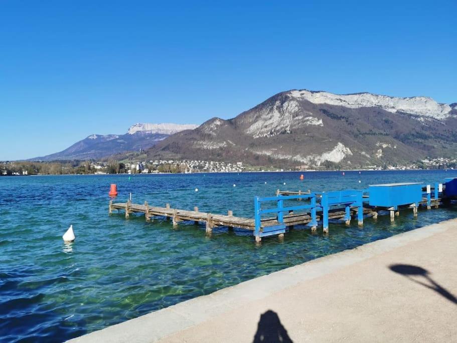 The Duplex Annecy Tgv; Vielle Ville Esterno foto