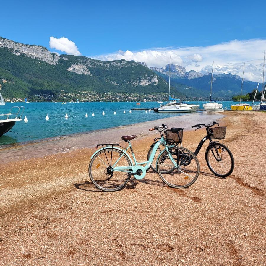 The Duplex Annecy Tgv; Vielle Ville Esterno foto